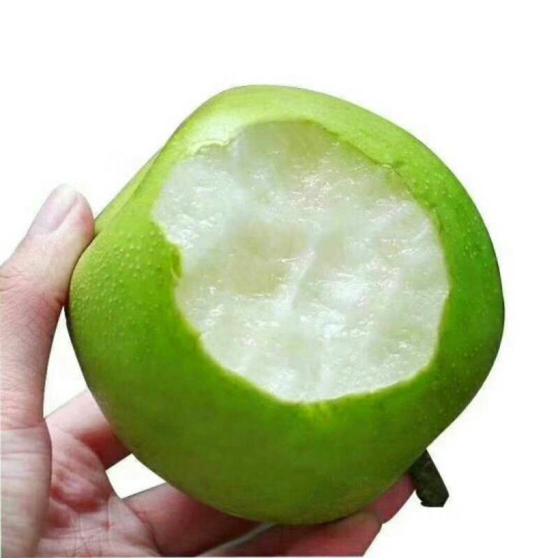 皇冠梨纸袋150~200g，货源充足，量大从优
