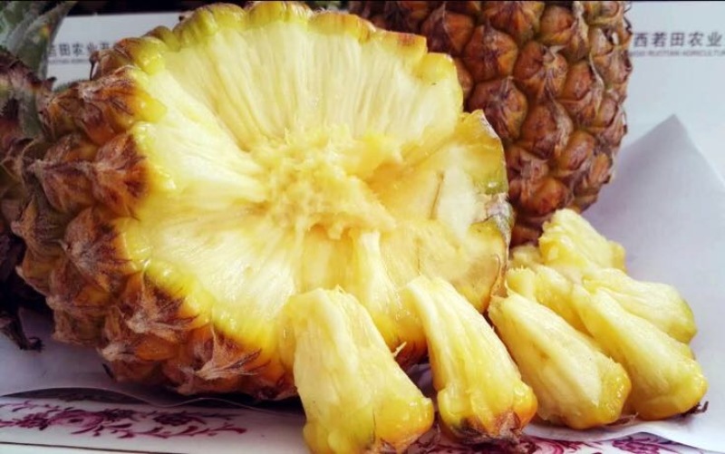 菠萝苗手撕菠萝苗