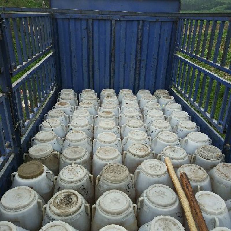 虎峰岭土蜂蜜农家蜜量大从优营养丰富