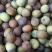 帝皇贡品寸三莲去芯晒干