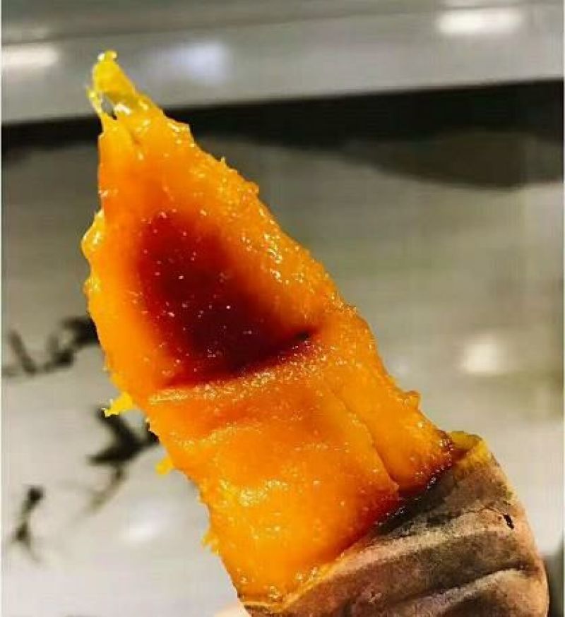 烟薯优质薯，