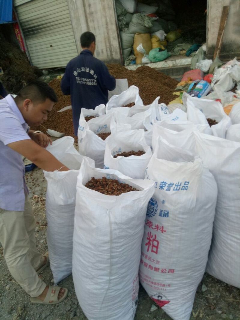 刺梨大货供应