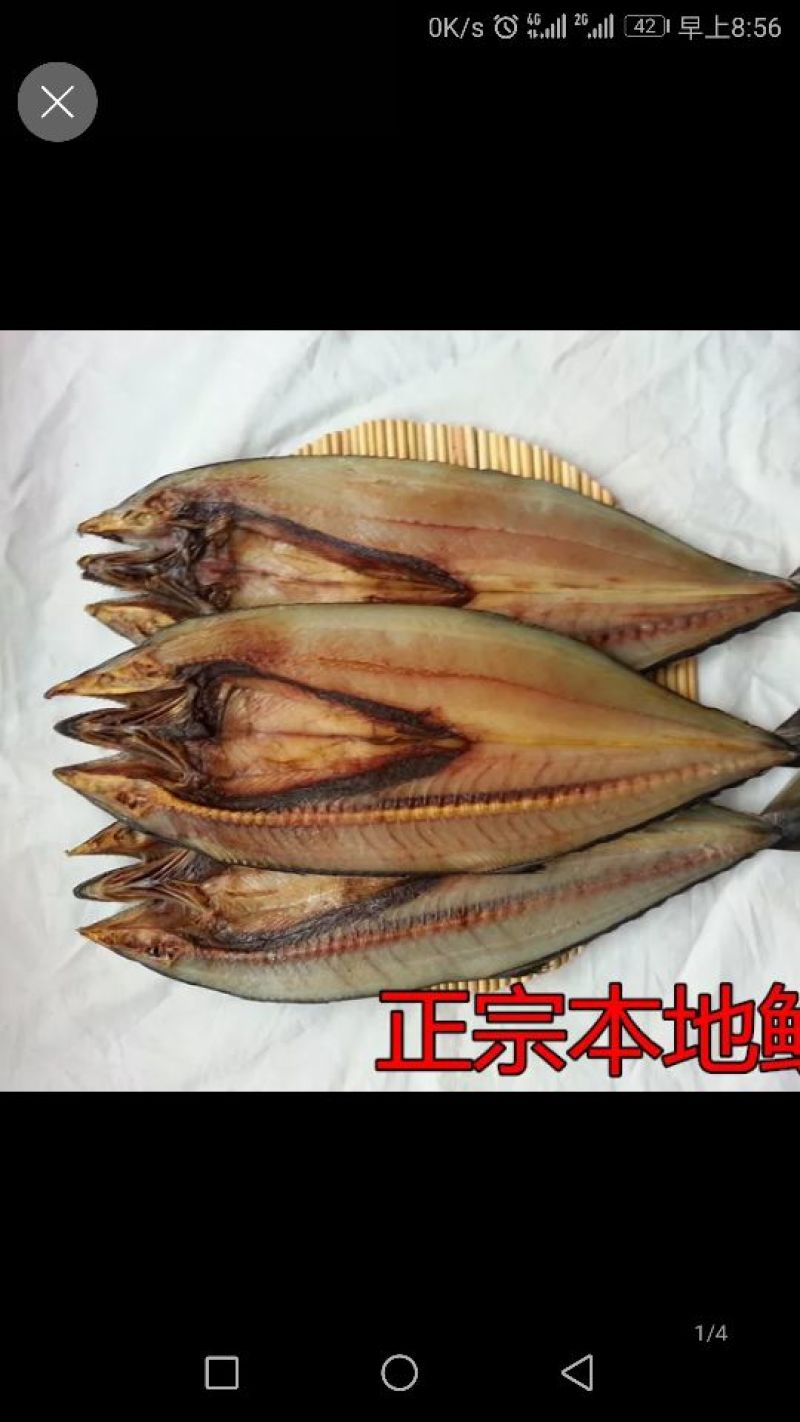 青岛本地咸鲅鱼