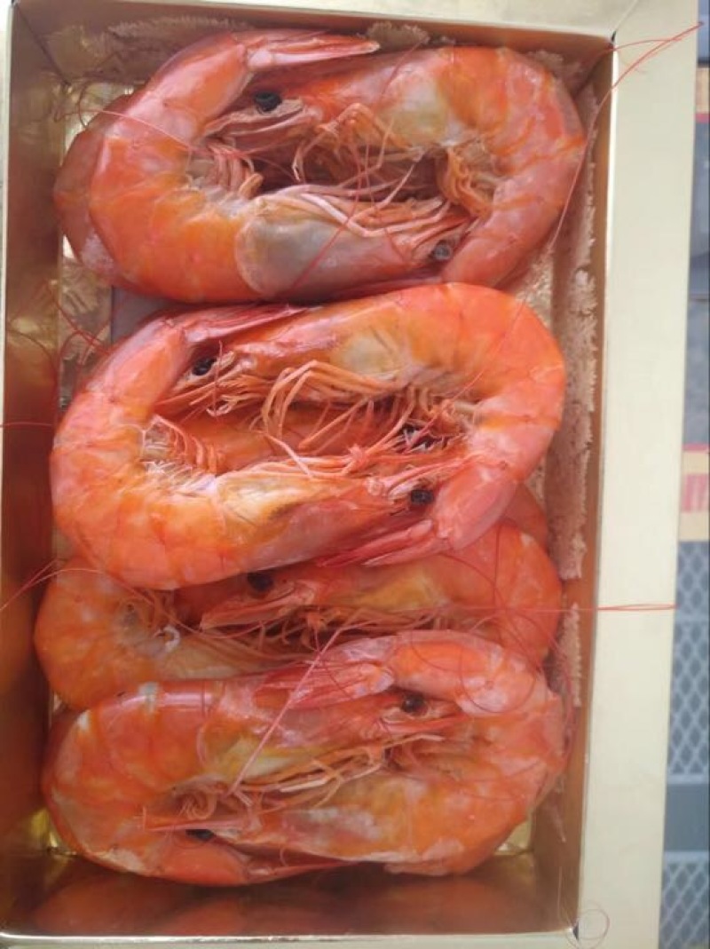 对虾冻虾