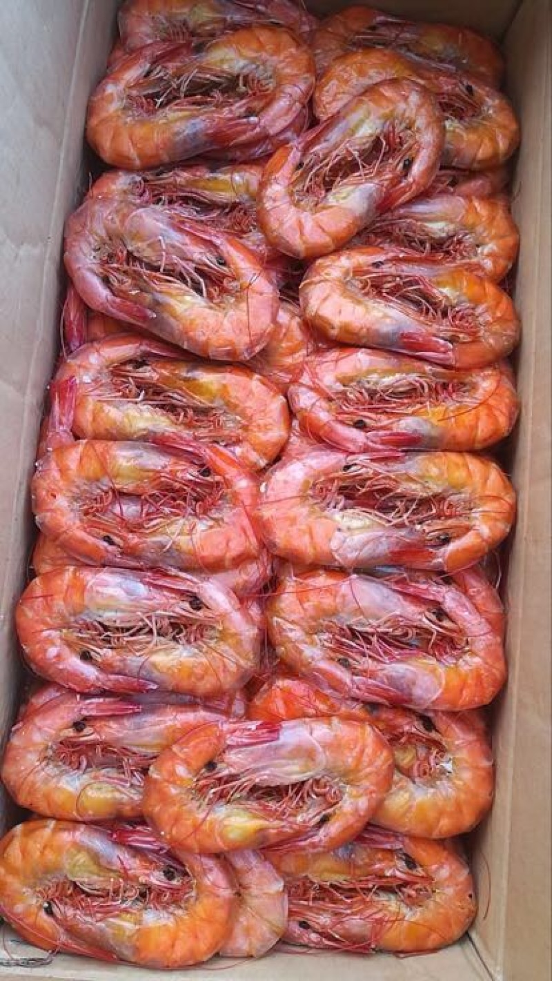对虾冻虾