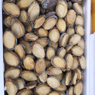 鲍鱼食用