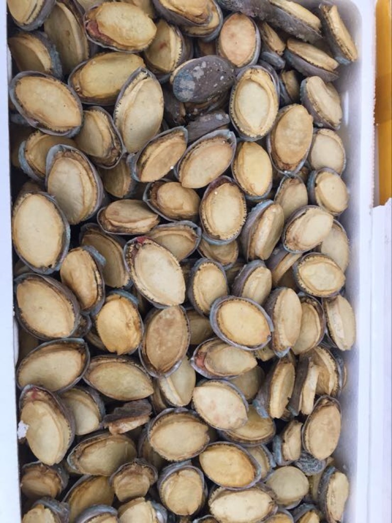 鲍鱼食用