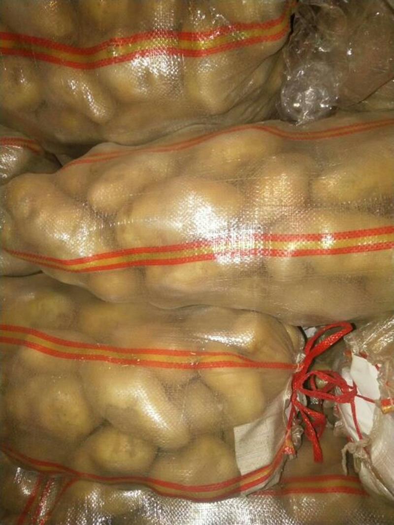 【土豆】荷兰十五土豆三两以上黄皮黄心全国发货