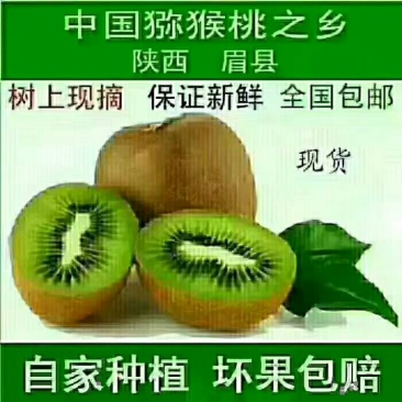 徐香弥猴桃亚特，海深得已开采