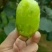 徐香弥猴桃亚特，海深得已开采