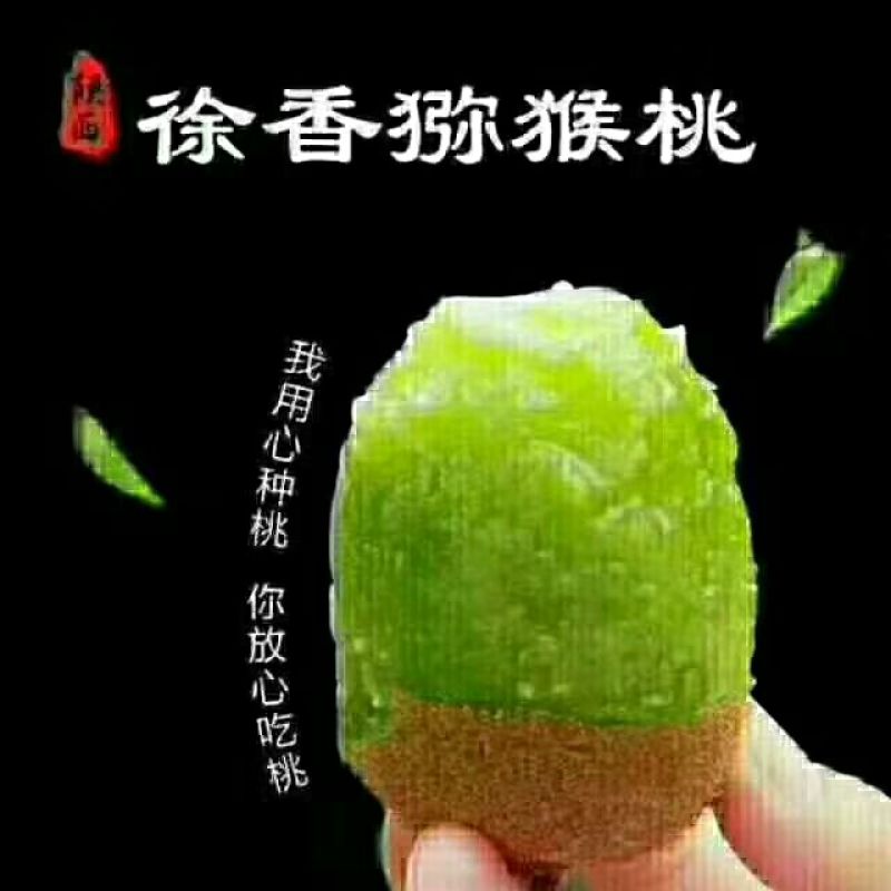 徐香弥猴桃亚特，海深得已开采