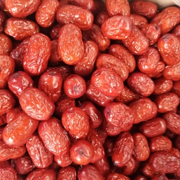 一级灰枣干度可以肉质好欢迎选go