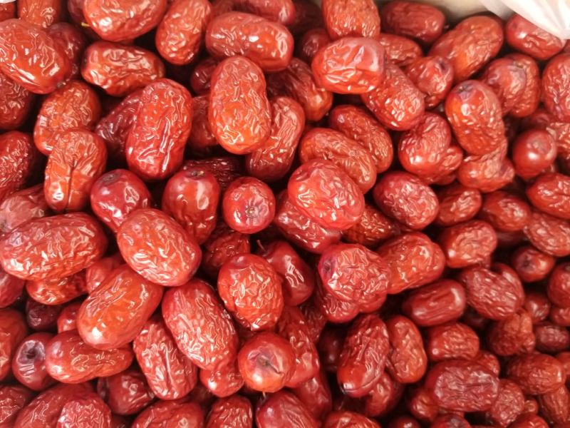 一级灰枣干度可以肉质好欢迎选go