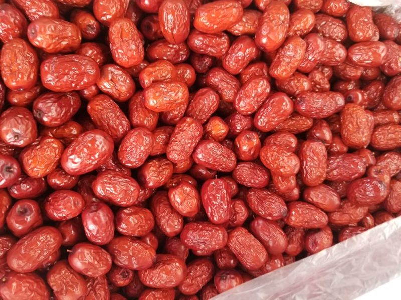 一级灰枣干度可以肉质好欢迎选go