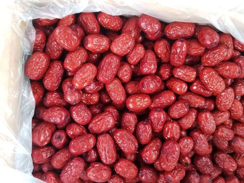 一级灰枣干度可以肉质好欢迎选go