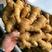 小黄姜产地批发优质小黄姜大量供应货源充足全国物流发货