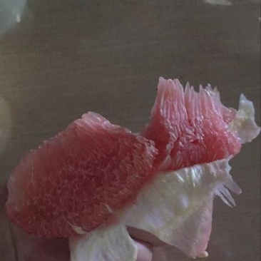 梅州蜜柚1.8斤以上