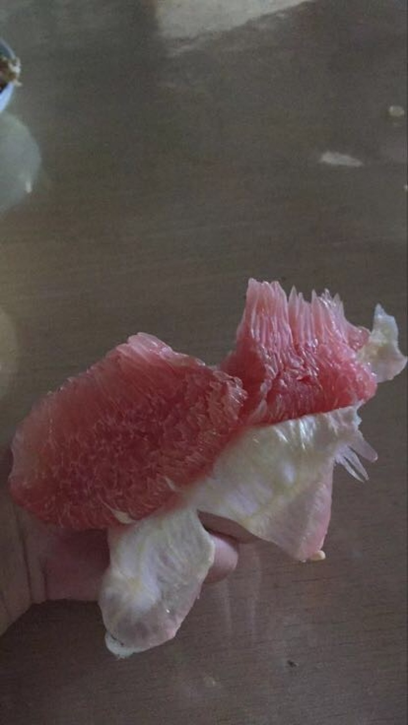 梅州蜜柚1.8斤以上