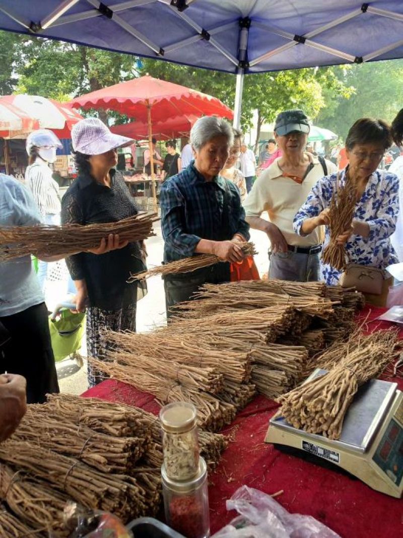黄芪中条甘肃产地批发零售，货源充足