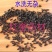 泡酒用黑蚂蚁纯干货野货品退换无忧欢迎下单售后无忧