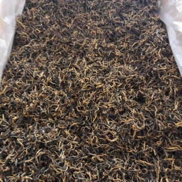 古树茶
