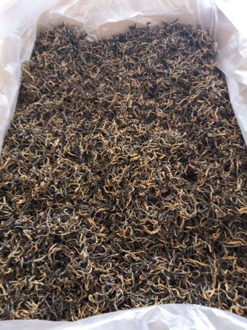 古树茶