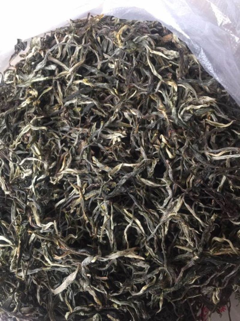 古树茶