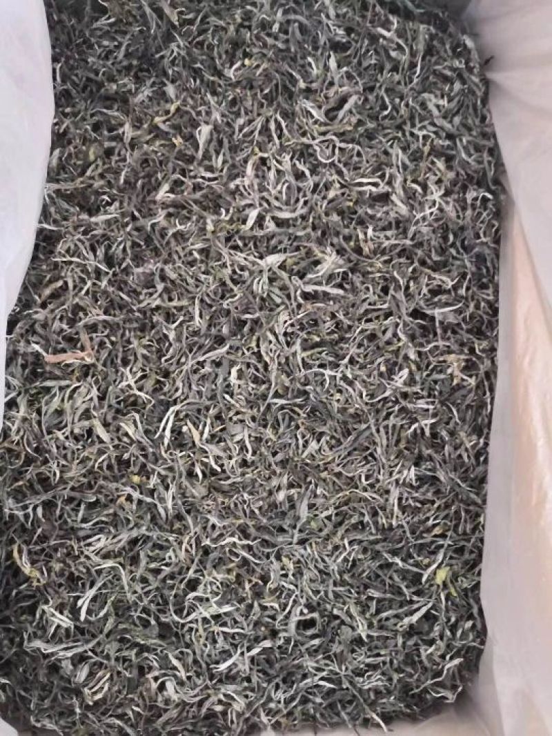 古树茶