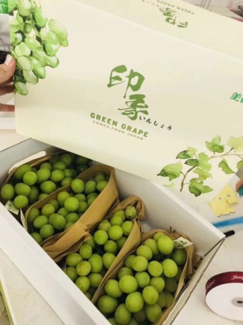 葡萄包装袋阳光玫瑰包装袋葡萄套袋
