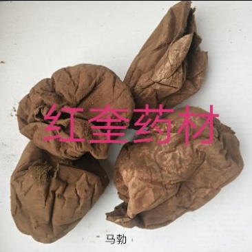 马勃药用马勃牛屎菇马蹄包药包子马屁泡