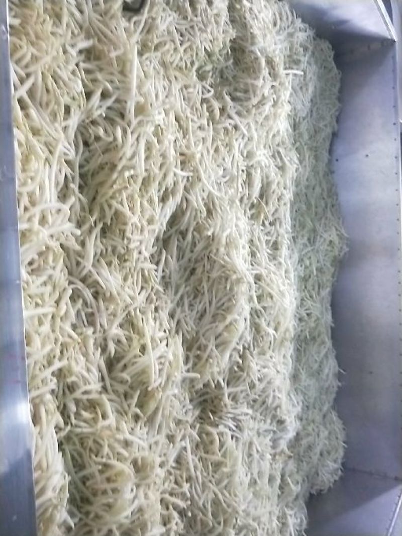 木瓜丝