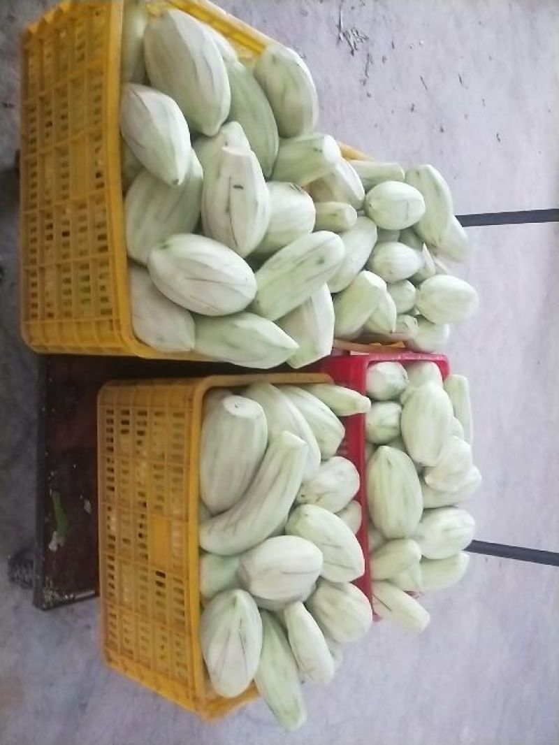 木瓜丝