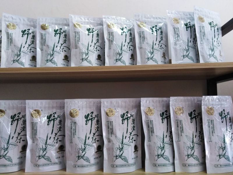 腾冲凉茶野坝蒿（野坝子）金丝皇菊