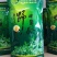 腾冲凉茶野坝蒿（野坝子）金丝皇菊