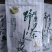 腾冲凉茶野坝蒿（野坝子）金丝皇菊