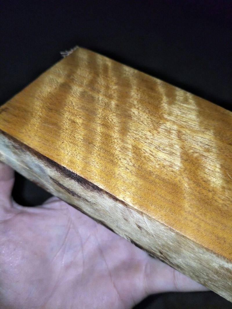 金丝楠