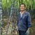 24年甘蔗大量上市，质量好，需要新老客户联系