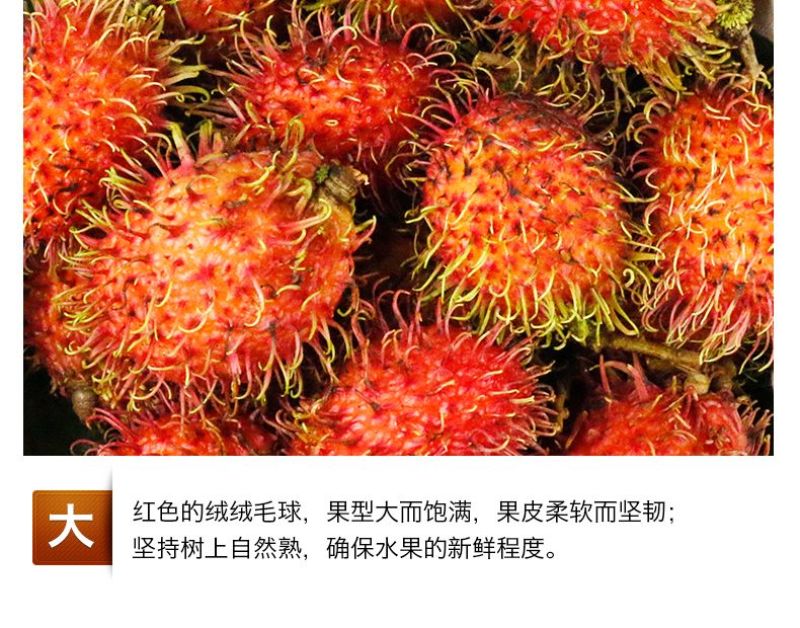 泰国红毛丹新鲜当季水果毛荔枝小孩孕妇佳品一件代发