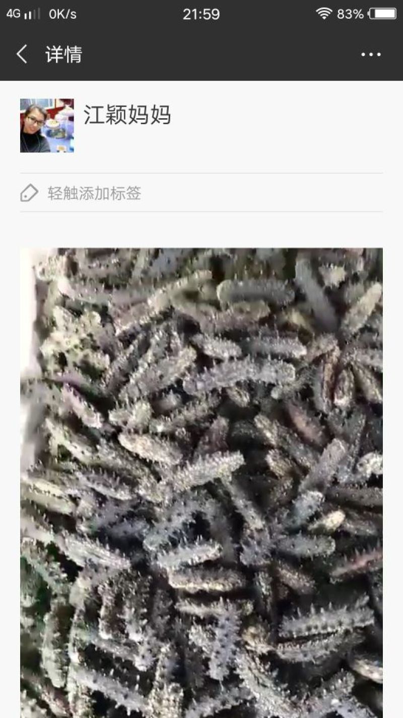 扇贝批发