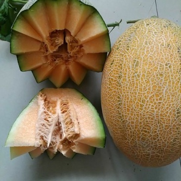 哈密瓜
