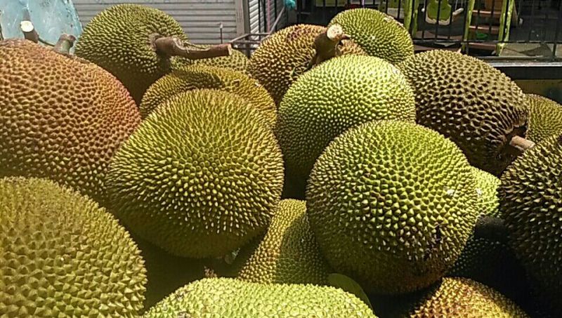 菠萝蜜10起步