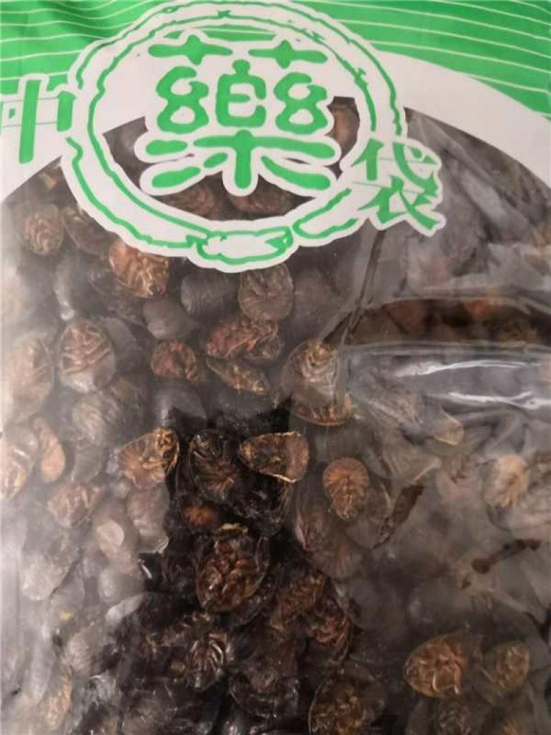 土元