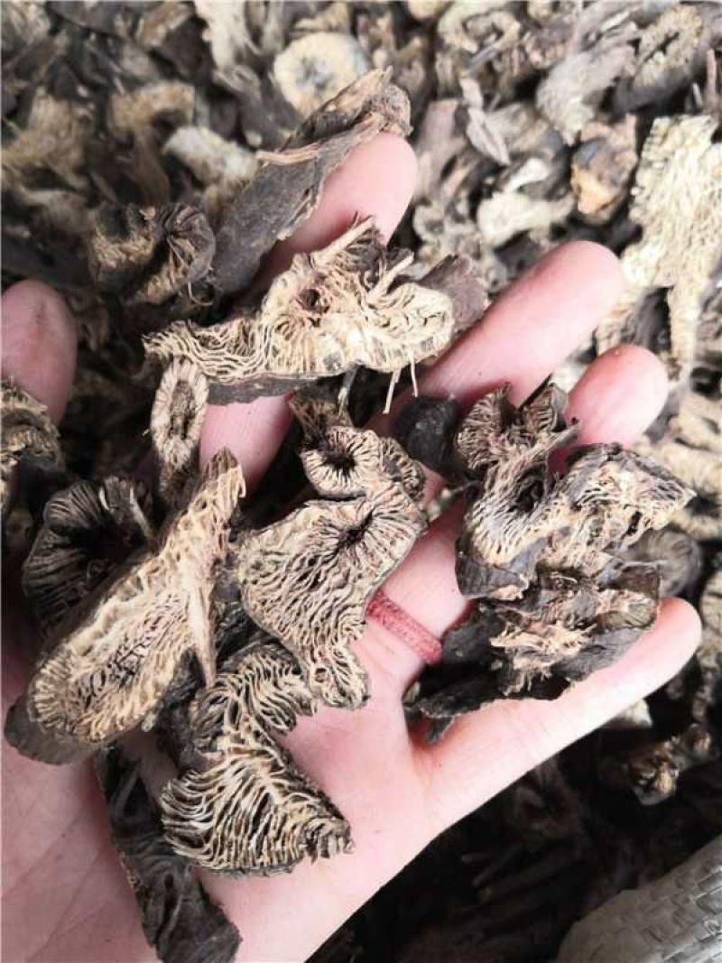 升麻统货
