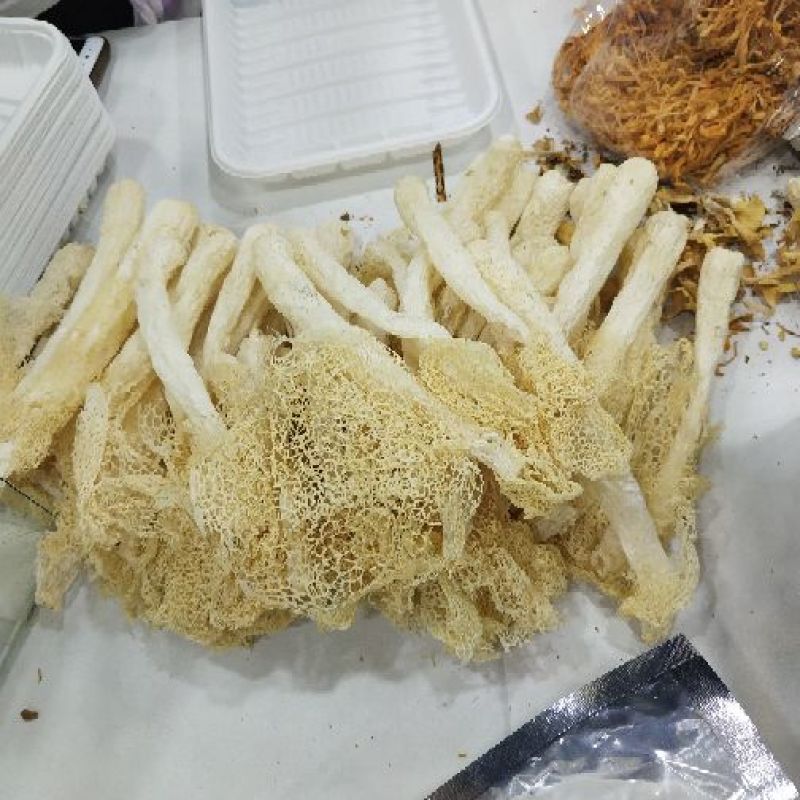 菌汤包七彩菌汤包