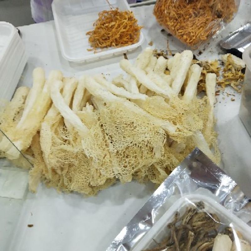 菌汤包七彩菌汤包
