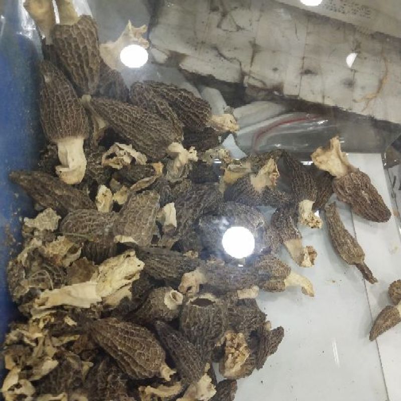 菌汤包七彩菌汤包