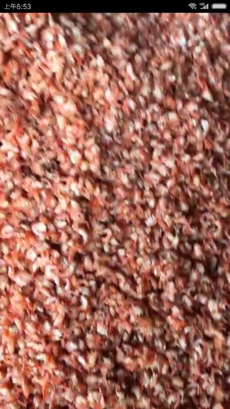 虾仁海米