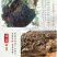 俄罗斯华树蓉