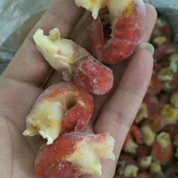鲜红虾尾