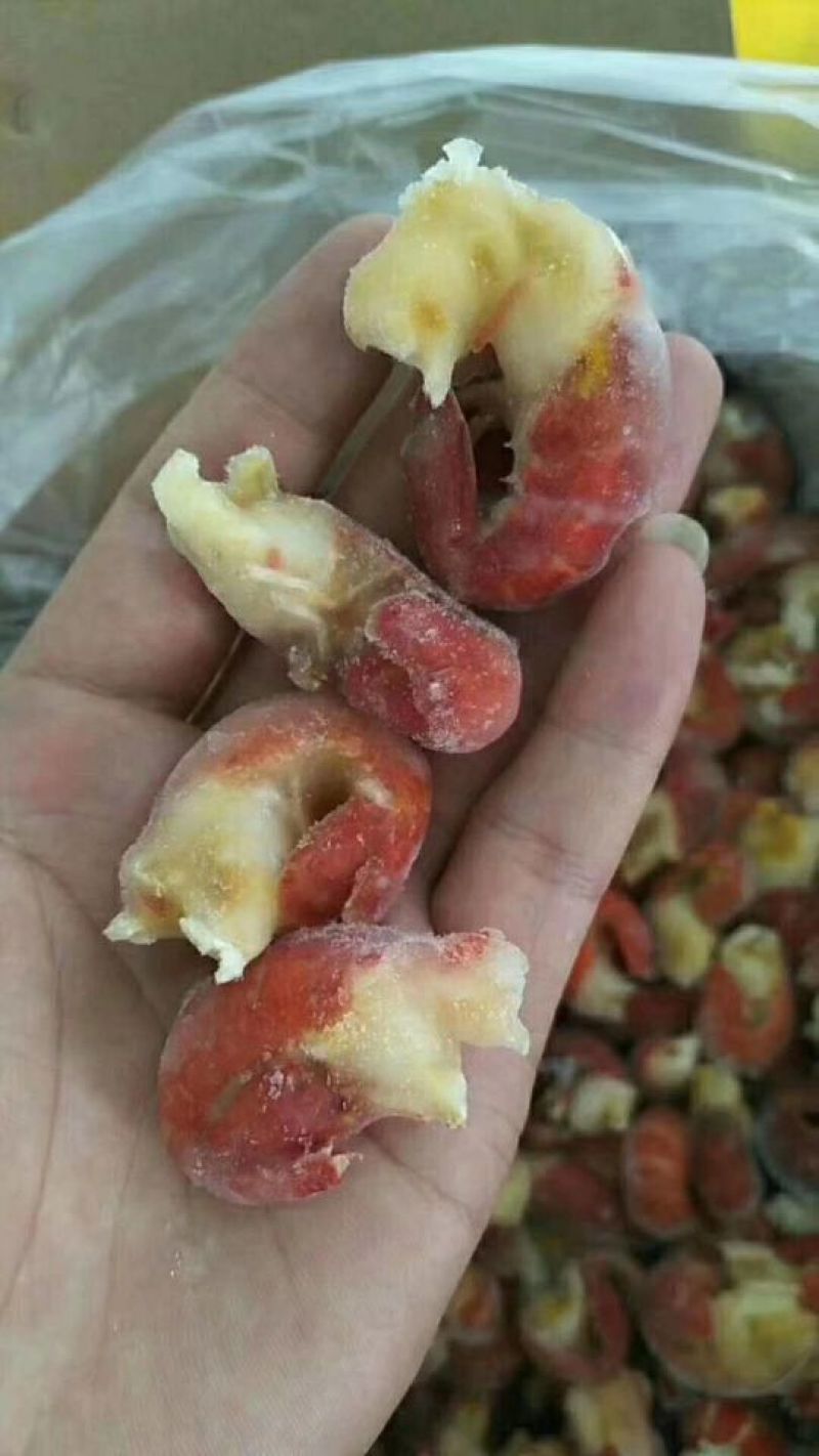 鲜红虾尾